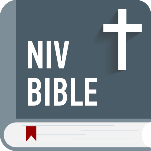 NIV Bible audio version