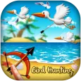 Archery Birds Hunting