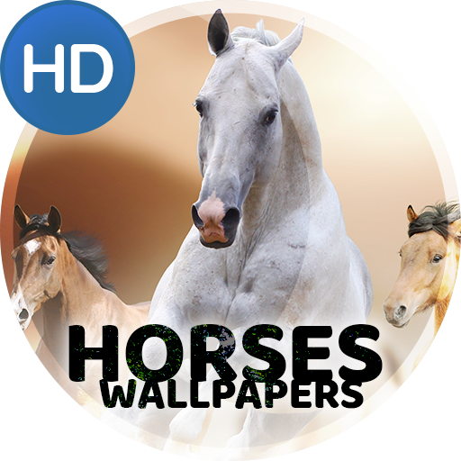 Wallpapers 4K with horses