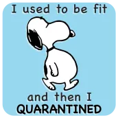 Snoopy stickers for WhatsApp - Christmas Stickers