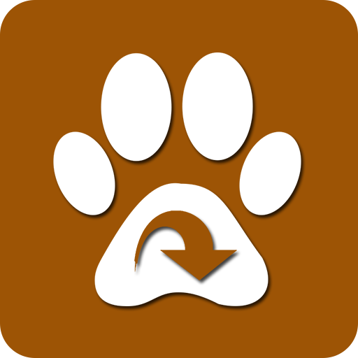 Music Downloader Mp3Paw