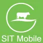 SIT Mobile