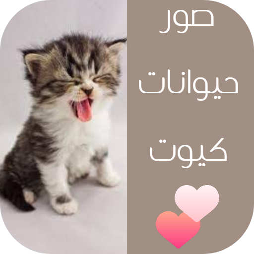 صور حيوانات كيوت