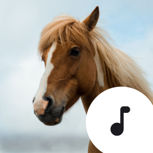 Horse Sounds