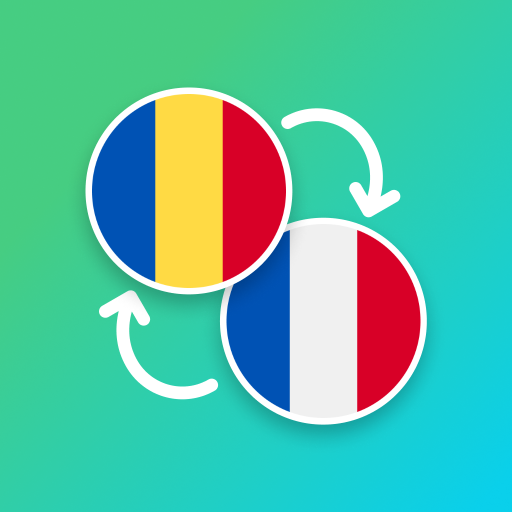 Romanian - French Translator