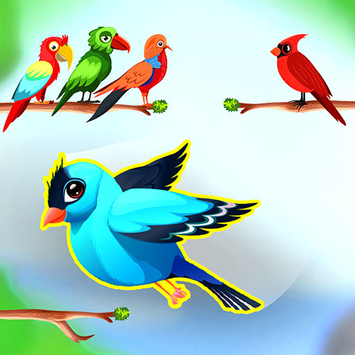 Bird color sort - Match puzzle