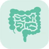 MDL