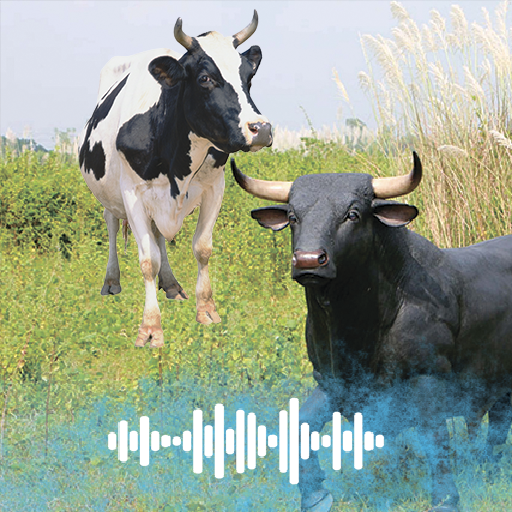 Bull and Cow sounds Ringtones