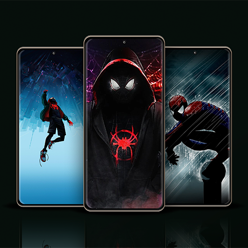 Spider Wallpaper Man Black