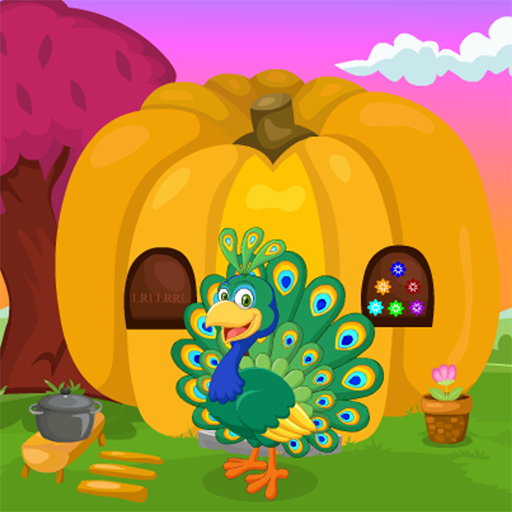 Cute Peacock Rescue Kavi Game-