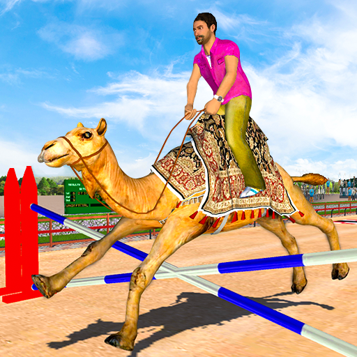 Camel Racing – Arabian Camel