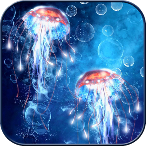 Jellyfish Wallpapers HD