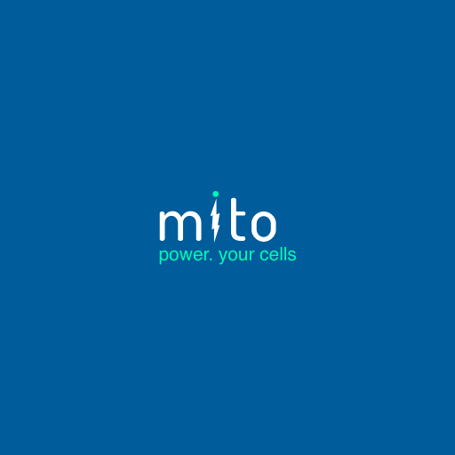 MiTo