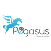 pegasus education