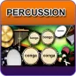 Percussion Instrument
