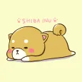 Cute Mini-Shiba Theme