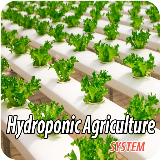 Hydroponic Agriculture System