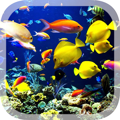 3D Live Wallpaper Aquarium