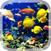 3D Live Wallpaper Aquarium