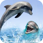 Dolphin Live Wallpaper 3D: HD Background 2018