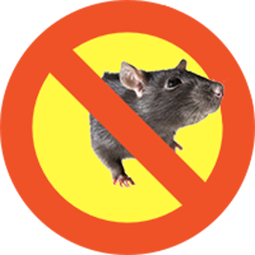 anti rat ultrason