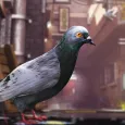 Crappy Bird: Pigeon Simulator