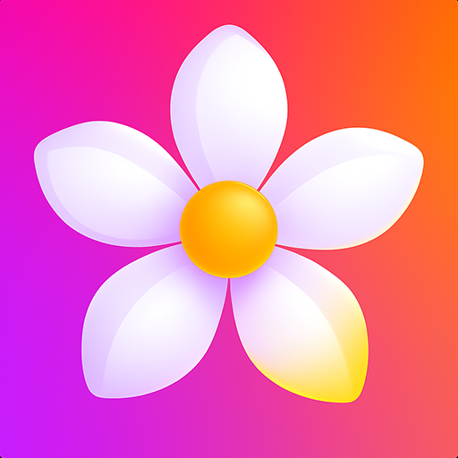 Gallery - Photo Gallery 2025