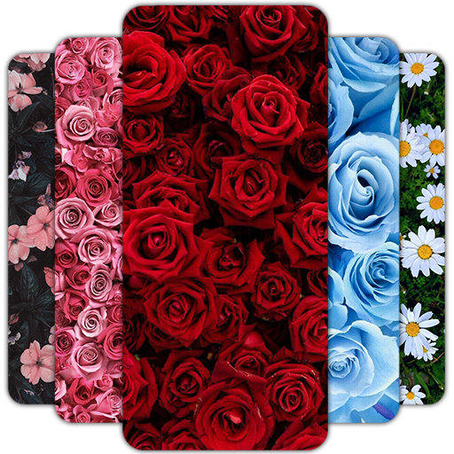 Flower Wallpaper HD – 4k