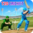 Cricket Championship Game 2024