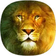 Lion Sounds