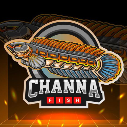 Ikan Channa Wallpaper