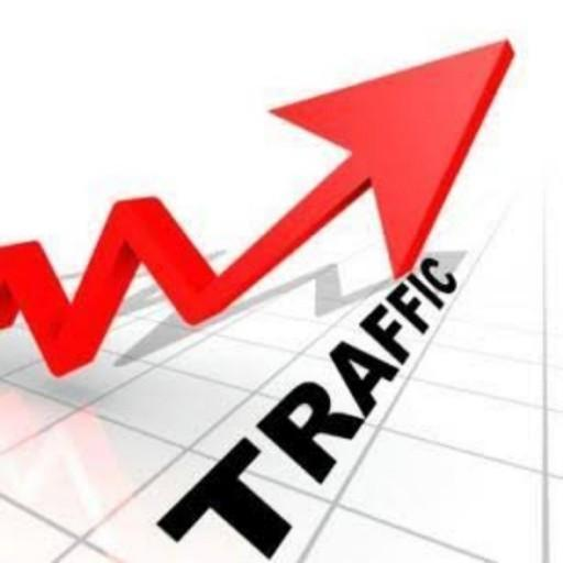 Website /Blog Traffic booster