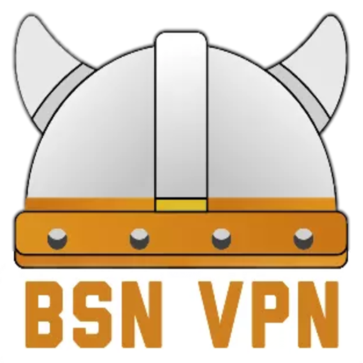 BSN VPN