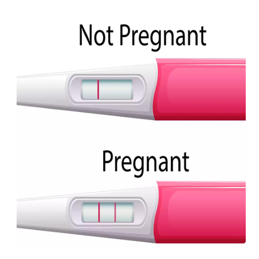 Tes kehamilan