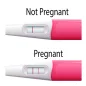 Pregnancy test & kit guide