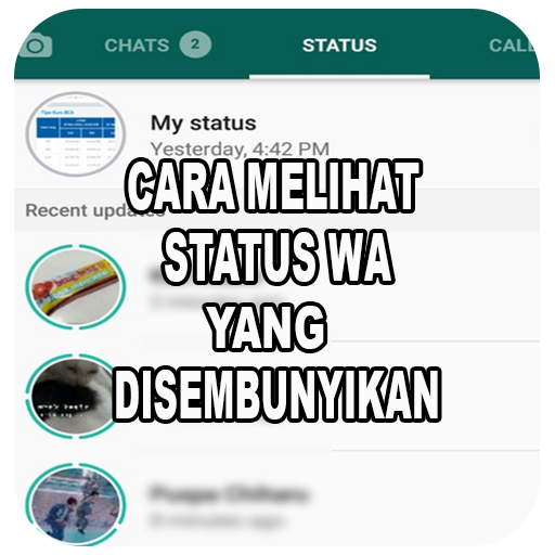 Cara Lihat Status WA Diprivasi