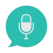 VT Translator