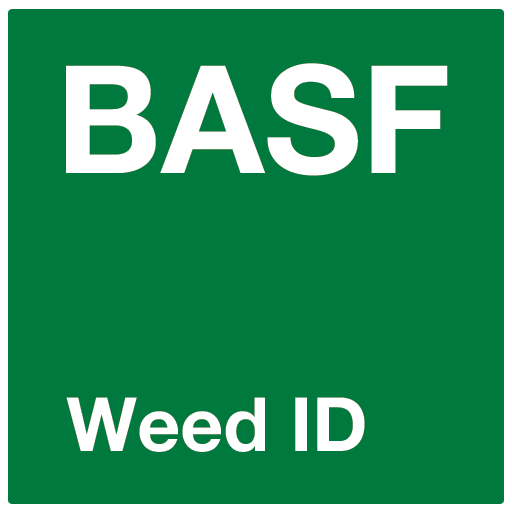Weed ID