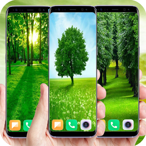 Download 500+Green Tree Wallpaper android on PC
