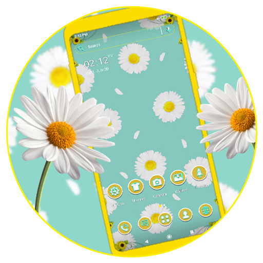 Daisy Flower Theme