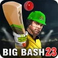 Aussie T20 Cricket Game 2023