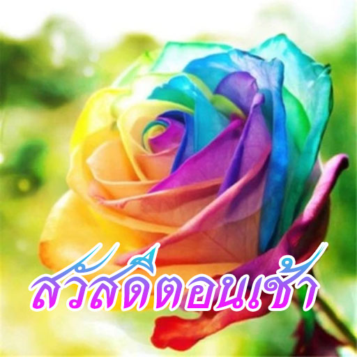 สวัสดีตอนเช้า