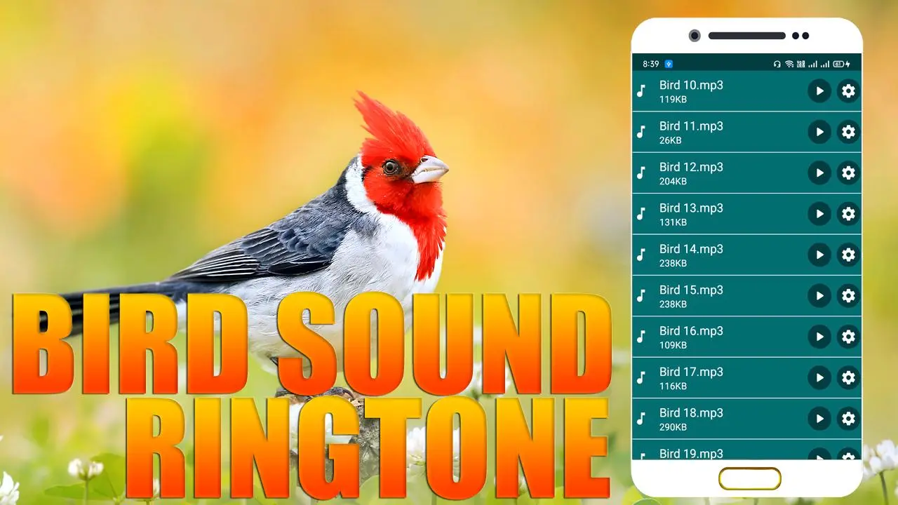 Download Birds Sound Ringtone android on PC