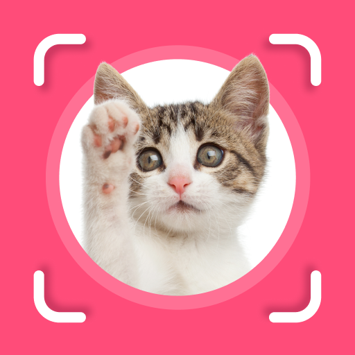 Kedi Tanımlayıcı: AI