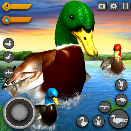 Virtual Duck Family Game 3D