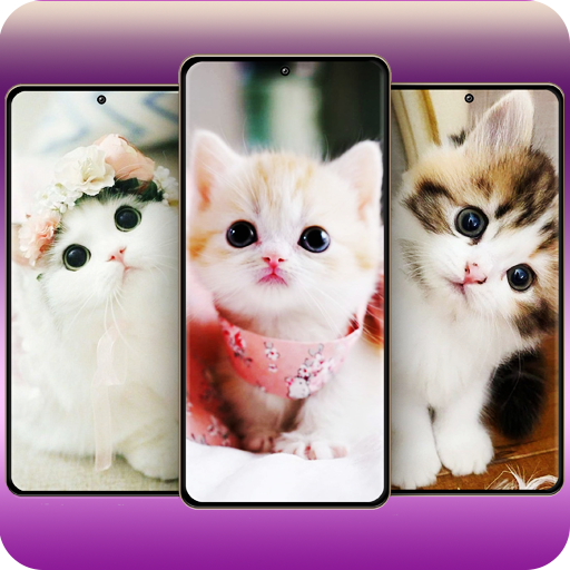 Cute Cats Wallpaper