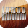 Professional Xylophone