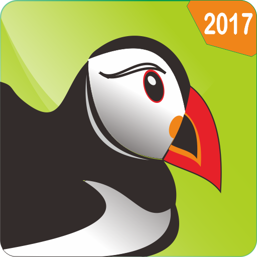 New Puffin Web Browser Advice