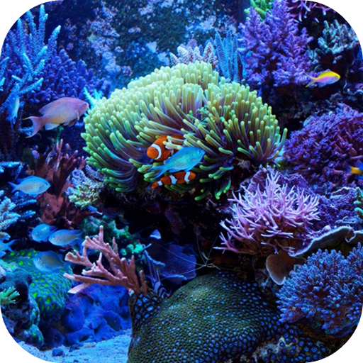 Marine Aquarium Live Wallpaper