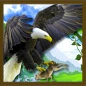 Eagle Simulator Wildlife Birds